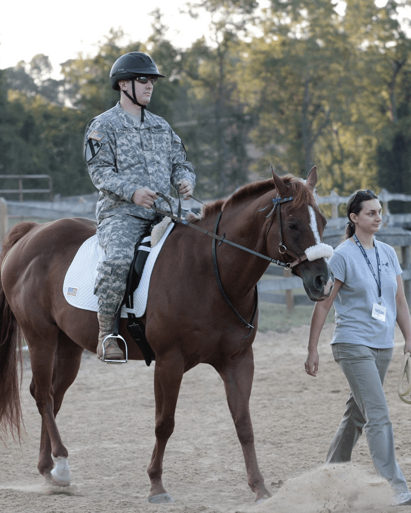 Equestrian Therapy Slider 2