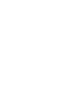 VFV white logo